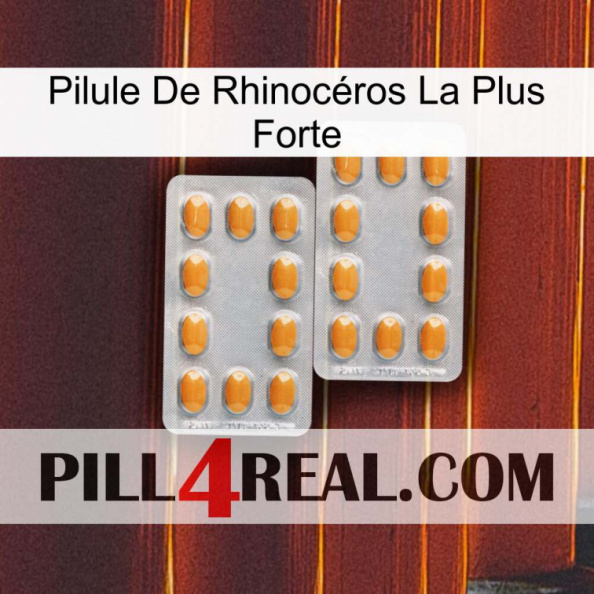 Pilule De Rhinocéros La Plus Forte cialis4